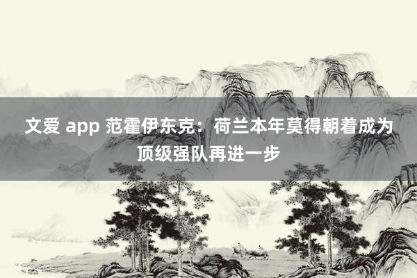 文爱 app 范霍伊东克：荷兰本年莫得朝着成为顶级强队再进一步