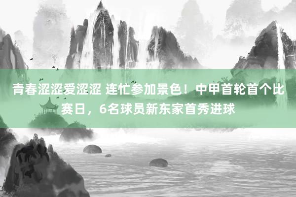 青春涩涩爱涩涩 连忙参加景色！中甲首轮首个比赛日，6名球员新东家首秀进球